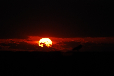 DSC 0250