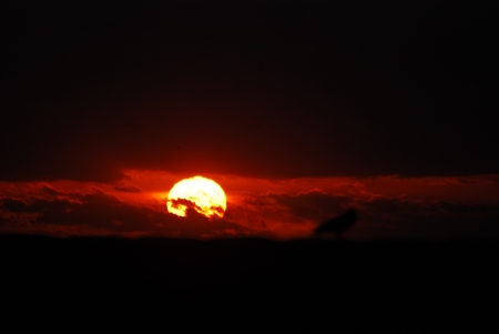DSC 0251