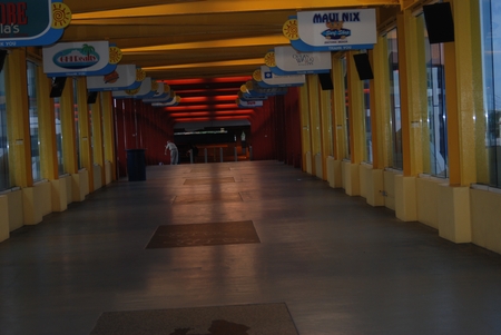 DSC 0005