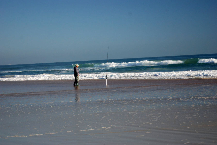 dsc_0015 dsc_0015