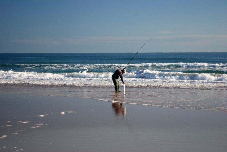 dsc_0018 dsc_0018