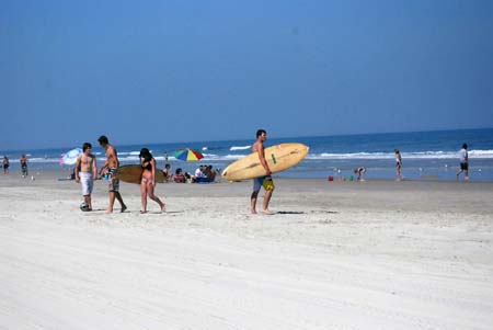 dsc_0312 dsc_0312