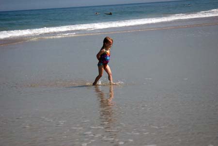 dsc_0339 dsc_0339