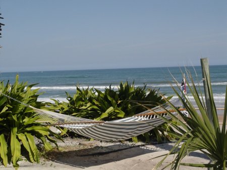 Copy of hawaiian-inn-palms