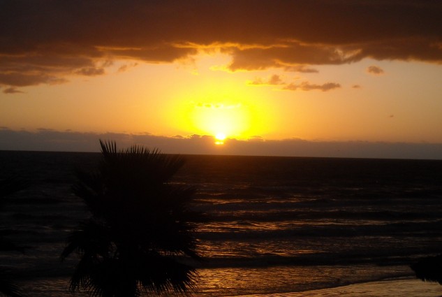 Hawaiian Inn – Condo 307